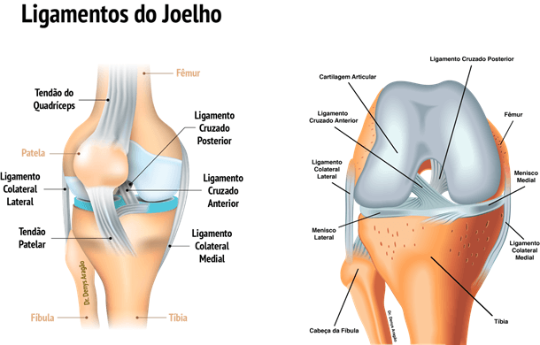 Ligamentos do joelho